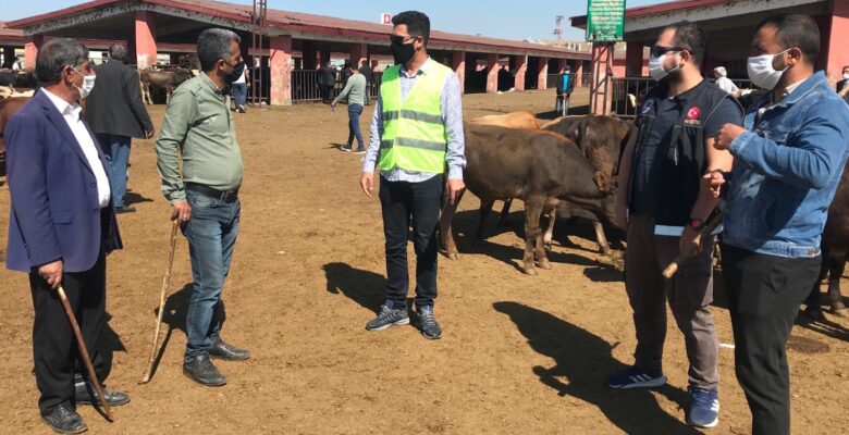 Ağrı’da karantina kurallarını ihlal edenlere ceza yağdı