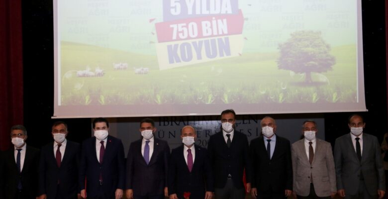 Ağrı’da çiftçilere 750 bin koyun dağıtılacak