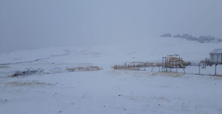 Ağrı’nın yüksek kesimlerine kar yağdı