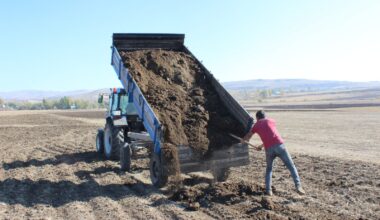 Ağrılı çiftçiler topraktan verim almak için hayvan gübresi kullanıyor