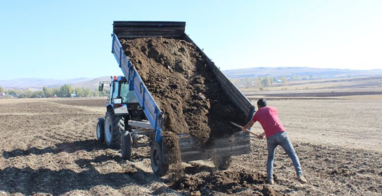 Ağrılı çiftçiler topraktan verim almak için hayvan gübresi kullanıyor