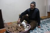 Çiftçi aile erken doğan buzağıya kendi çocukları gibi bakıyor
