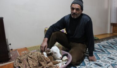 Çiftçi aile erken doğan buzağıya kendi çocukları gibi bakıyor
