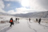 Ağrı Dağı bölgesinde kayıp mülteciyi arama çalışması başlatıldı