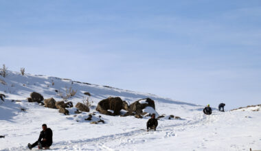 Ağrılı çocukların karlı tepelerde kızak keyfi