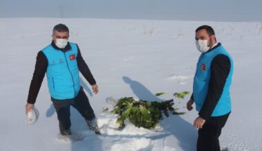 Ağrı İl Müftülüğü, yabani hayvanlar için yiyecek bıraktı