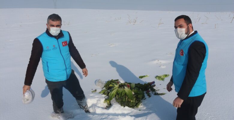 Ağrı İl Müftülüğü, yabani hayvanlar için yiyecek bıraktı