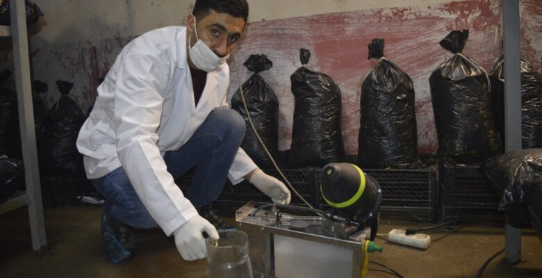 Ağrılı girişimci sanayi sitesinde mantar üretim tesisi kurdu