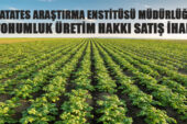 Patates Araştırma Enstitüsü Müdürlüğünden tohumluk üretim hakkı satış ihalesi