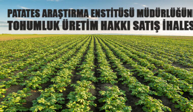 Patates Araştırma Enstitüsü Müdürlüğünden tohumluk üretim hakkı satış ihalesi
