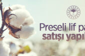 Preseli lif pamuk satışı yapılacak