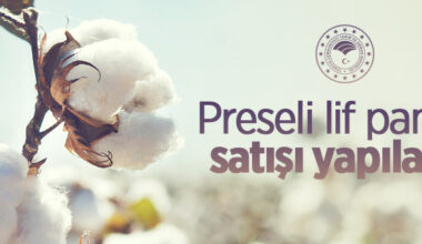 Preseli lif pamuk satışı yapılacak