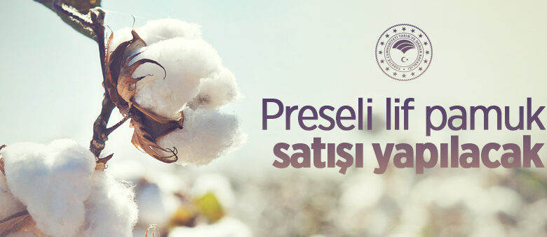 Preseli lif pamuk satışı yapılacak
