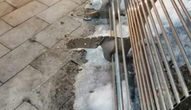 Başkan Sayan’dan bankları kıranlara sitemli mesaj