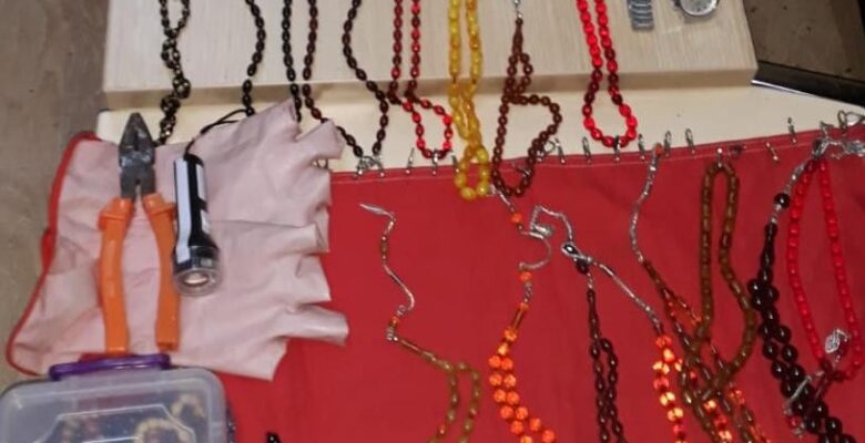 Ağrı’da hırsızlık yapan bir kişi tutuklandı