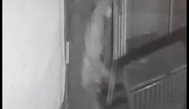 Ağrı merkezde bir apartmandan bisiklet ve bir işyerinin kapısını çalan hırsız yakalandı