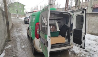 Ağrı’da köpeğe eziyet eden şahsa para cezası kesildi