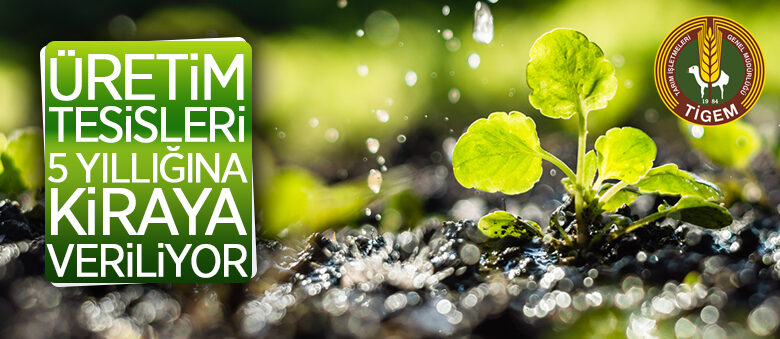 Boztepe Tarım İşletme Müdürlüğü üretim tesislerini 5 yıllığına kiraya veriliyor