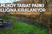 Çamlıköy Tabiat Parkı yedi yıl süreyle kiraya verilecek