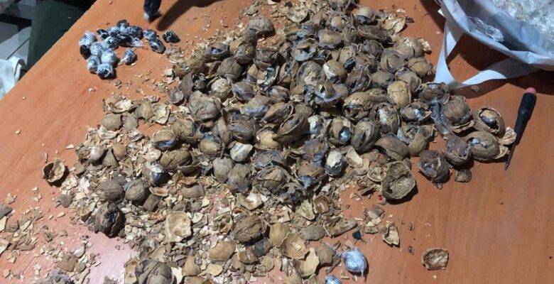 Ceviz kabuğundan uyuşturucu çıktı