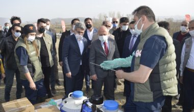 Ağrı’da Suni Tohumlama Yaygınlaştırma Projesi başladı