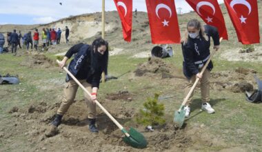 Ağrı’da fidanlar, şehit polislerin anısına toprakla buluşturuldu