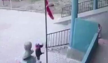 Koyun otlatan çocuğun bayrak hassasiyeti takdir topladı