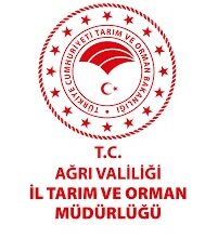 Araç kiralama hizmeti alınacaktır