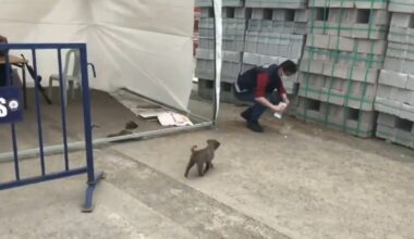 Ağrı’da polisin merhameti yürekleri ısıttı