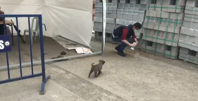 Ağrı’da polisin merhameti yürekleri ısıttı