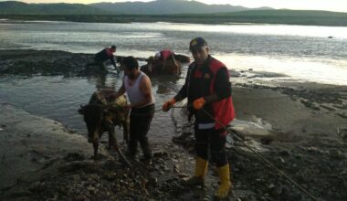 Ağrı’da mahalle sakinleri ve itfaiye hayvanlar için seferber oldu