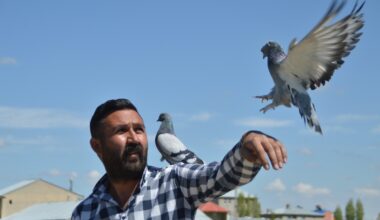 Kısıtlama günlerini servet harcadığı güvercinleriyle geçiriyor
