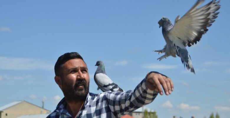 Kısıtlama günlerini servet harcadığı güvercinleriyle geçiriyor
