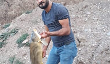 Ağrı’da elektrik akımına kapılan genç hayatını kaybetti