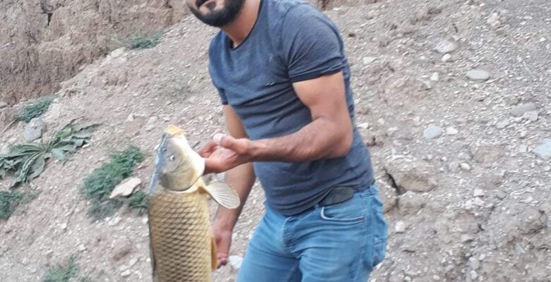 Ağrı’da elektrik akımına kapılan genç hayatını kaybetti