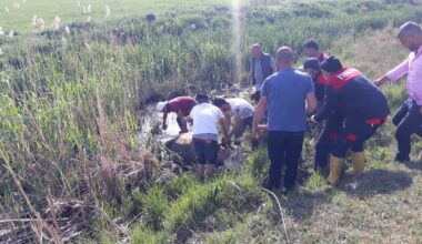 Çamura saplanan inek kurtarıldı