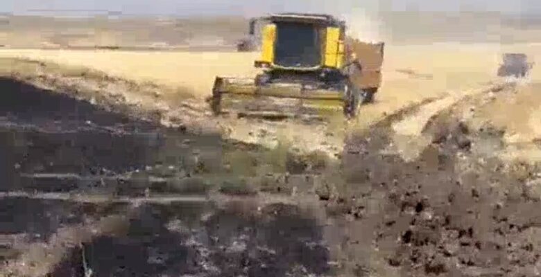 Başkan Sayan’a ait tarım arazisinde yangın çıktı