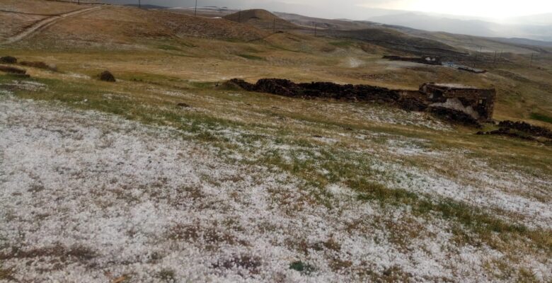 Ağrı’da aniden bastıran dolu çevreyi beyaza bürüdü