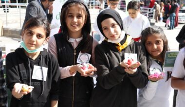 Oyun hamurundan hayvan figürleri yapıp hayvanlar için mama topladılar