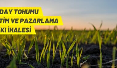 Tohumluk üretim ve pazarlama hakkı ihale ilanı