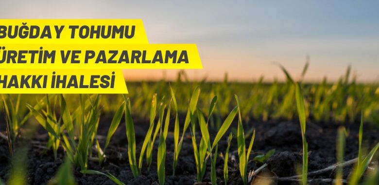 Tohumluk üretim ve pazarlama hakkı ihale ilanı