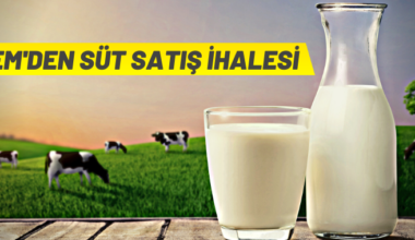 TİGEM’den süt satış ihalesine davet