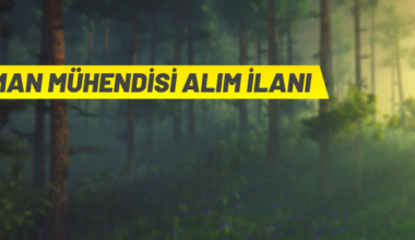 Orman Genel Müdürlüğü 22 Orman Mühendisi alacak