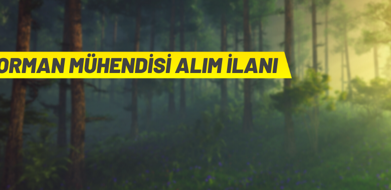 Orman Genel Müdürlüğü 22 Orman Mühendisi alacak