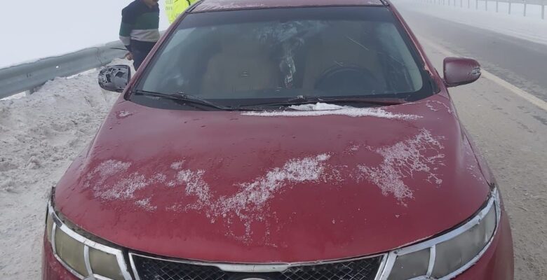 Ağrı’da ‘dur’ ihtarına uymayan sürücü kovalamaca sonucu yakalandı