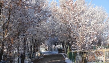 Ağrı’da soğuk hava hayatı olumsuz etkiliyor