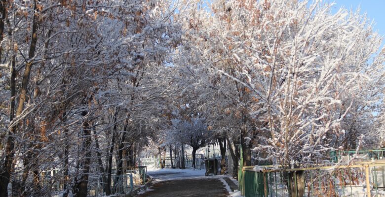 Ağrı’da soğuk hava hayatı olumsuz etkiliyor