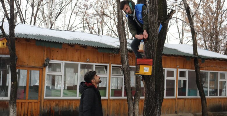 Ağrı’da gençler kuşlar için doğaya yem bıraktı