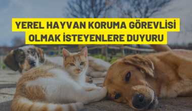 Yüreğir’de Yerel Hayvan Koruma Görevlisi Eğitimi düzenlenecek