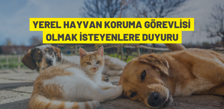 Yüreğir’de Yerel Hayvan Koruma Görevlisi Eğitimi düzenlenecek